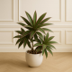 Artificial Plant